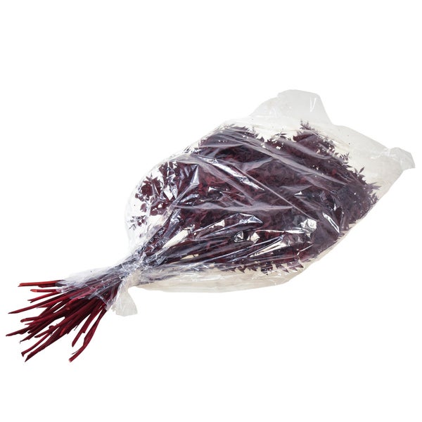Bündel getrockneter Ruscus in transparenter Folie für florale Dekorationen.