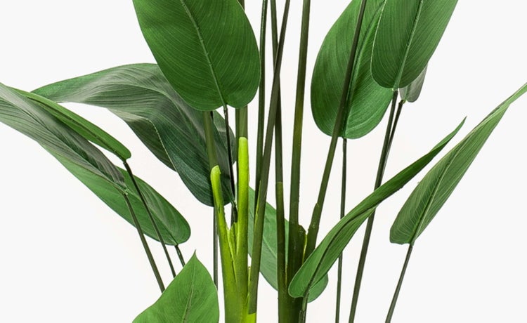 Kunstpflanze Heliconia ANURIA, 26 Blätter, grün, 175cm - Zimmerpflanze im Topf