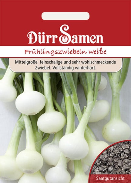 Dürr Samen Logo, Samentüte für Frühlingszwiebeln Weiße, winterharte Sorte mit mittelgroßen Zwiebeln.