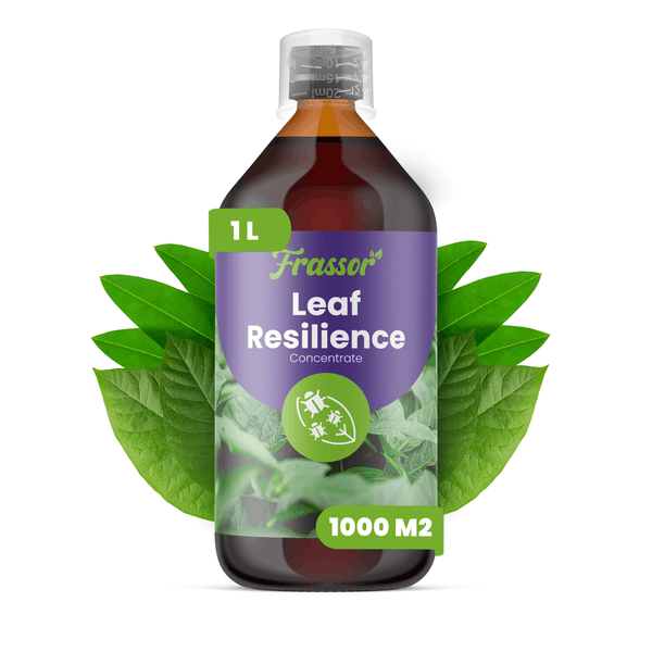 1 Liter Flasche Frassor Leaf Resilience Pflanzenstärkungsmittel Konzentrat, ausreichend für 1000 Quadratmeter, mit Messkappe und Blättern.