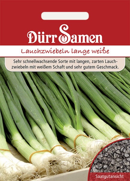 Samenpackung für Lauchzwiebeln lange weiße, Dürr Samen Logo, Abbildung der erntereifen Zwiebeln und Ansicht der Samen.