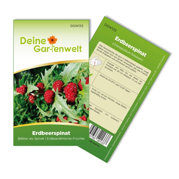 Samenpackung Deine Gartenwelt Erdbeerspinat mit Abbildung der Pflanze und Aussaatanleitung auf der Rückseite.