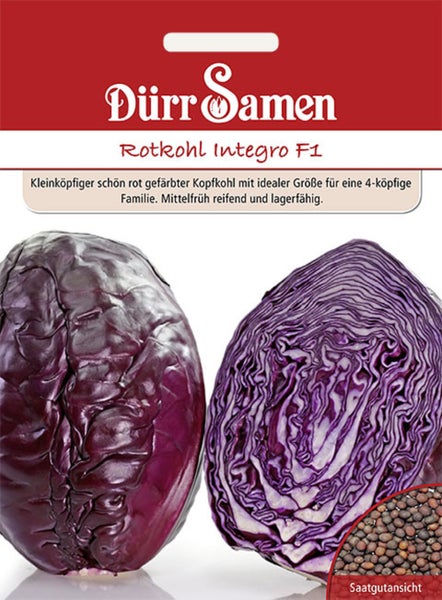 Samentüte für Rotkohl Integro F1 von Dürr Samen mit Abbildung von ganzem und halbiertem Rotkohl sowie Saatgutansicht.