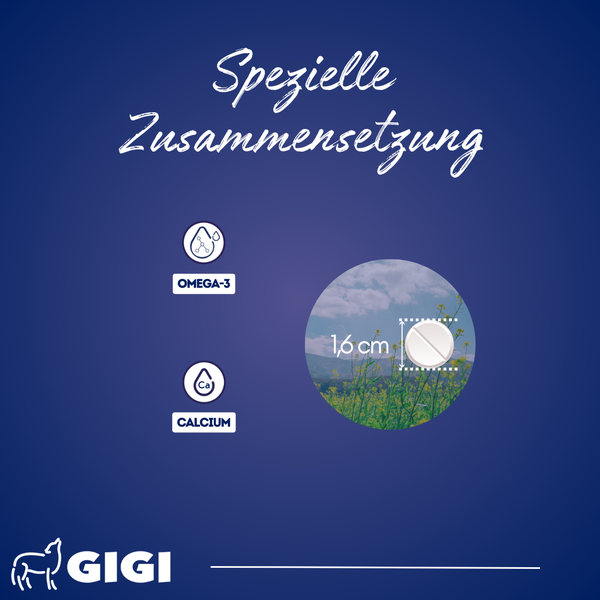 Omega 3 Symbol, Calcium Symbol und Tablette mit 1,6 cm Durchmesser