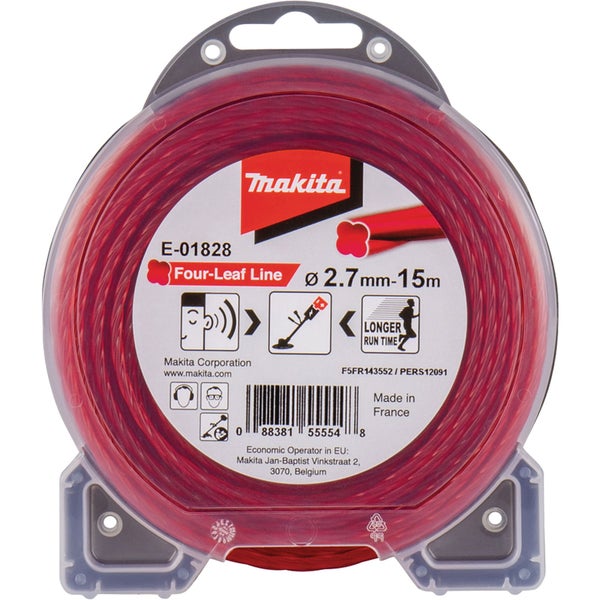 Fuchsia-Pflanze mit Blättern und Blüten