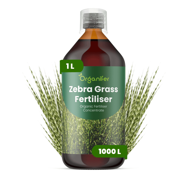 Organifer Zebragras Dünger, organisches Düngerkonzentrat, 1 Liter Flasche für 1000 Liter Gießwasser.