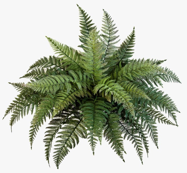 Künstlicher Farn mit dichten grünen Farnwedeln, naturgetreue Kunstpflanze für die Dekoration von Innenräumen.