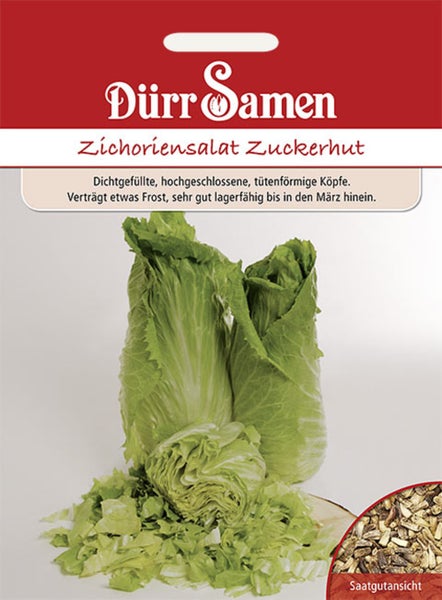 Samentüte für Zichoriensalat Zuckerhut von Dürr Samen mit Abbildung von zwei Salatköpfen und Saatgutansicht.