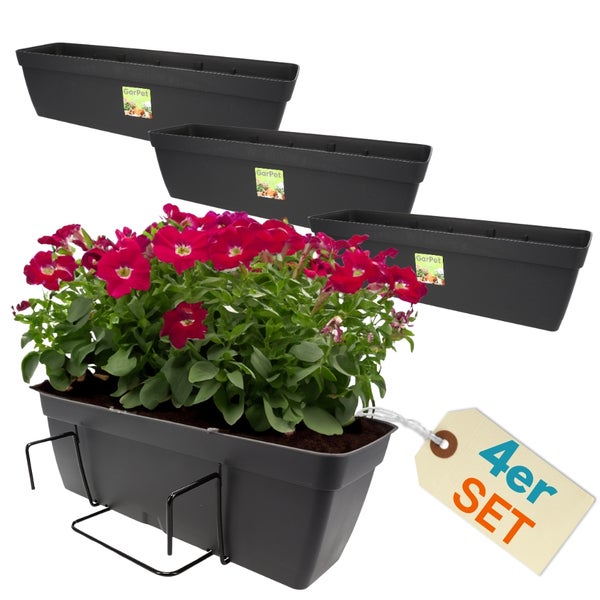 Vierer Set Balkonkästen mit Halterung und blühenden Pflanzen