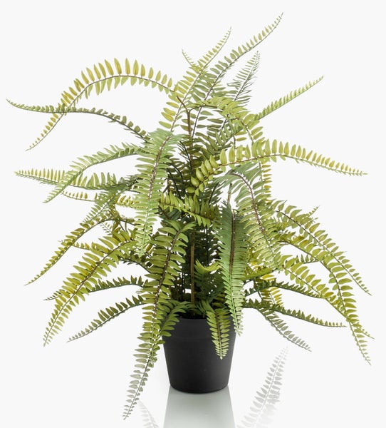 Künstliche Farnpflanze im schwarzen Kunststofftopf.