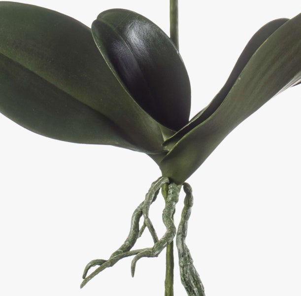 Detailansicht der Blätter und Luftwurzeln einer künstlichen Orchidee.