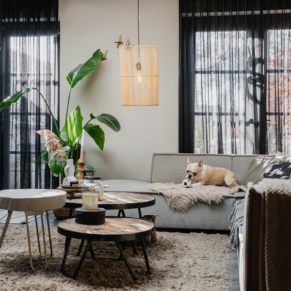 Wohnzimmer mit Sofa, Couchtischen, Hängelampe und Hund