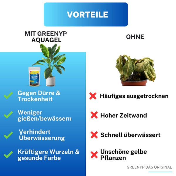 Greenyp Aquagel I Langzeit Wasserspeicher Granulat für Pflanzen, Bäume und Rasen gegen Dürre & Trockenheit I speichert das 400-fache an Wasser I 850g