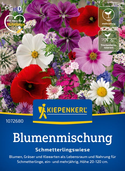 Kiepenkerl Blumenmischung Schmetterlingswiese als Lebensraum und Nahrungsquelle für Schmetterlinge, mehrjährig und trockenheitstolerant.