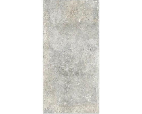 Wand- und Bodenfliese Watford light grey 60x120 cm