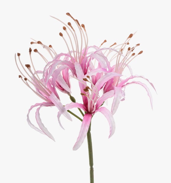 Künstliche Blume Nerine in Rosa mit langem grünem Stiel und feinen Staubblättern.