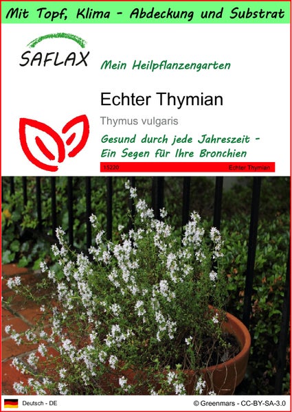 SAFLAX Garden to go - Echter Thymian - Thymus vulgaris - 200 Samen - Mit Topf, Klima - Deckel und Anzuchtsubstrat