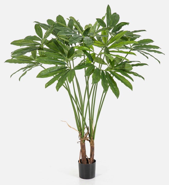 Künstliche Zimmerpflanze Fingeraralie im schwarzen Kunststofftopf mit langen Stielen und grünen Blättern.