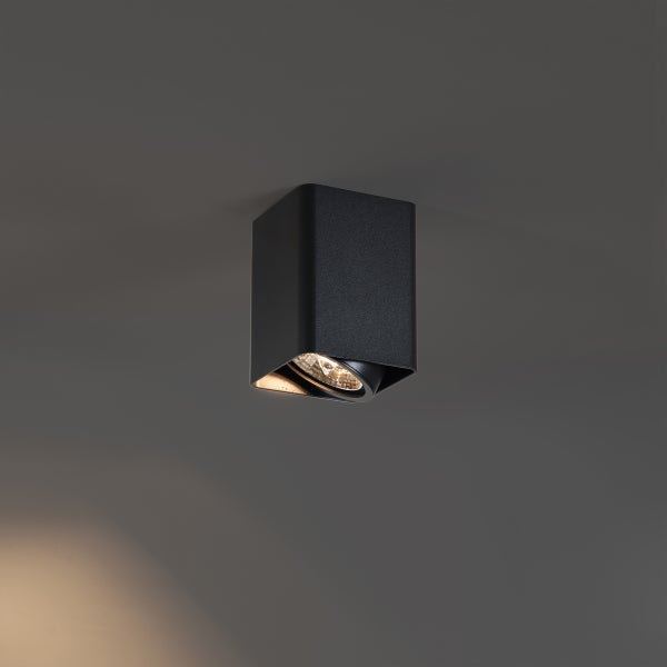 Schwarze Deckenleuchte mit drehbarem Spot