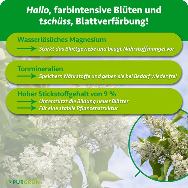 Infografik mit Wirkungsweise von Purgrün Pflanzendünger mit Magnesium, Tonmineralien und Stickstoff für gesundes Wachstum von Zierpflanzen.