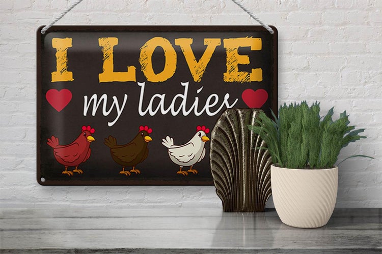 Blechschild Spruch 30x20cm Hühner i love my ladies