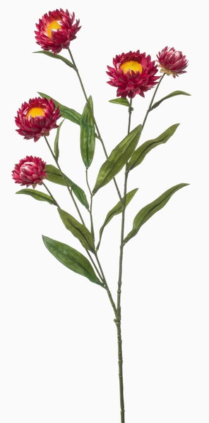 Künstliche Strohblume in bordeauxrot mit gelber Mitte und grünem Stiel.