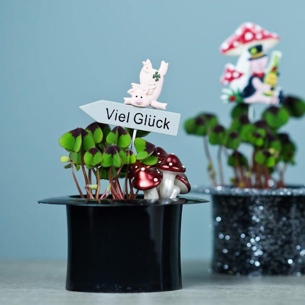 Glücksklee in einem schwarzen Topf mit Dekorationen wie Pilzen und einem Schwein auf einem Schild mit der Aufschrift Viel Glück