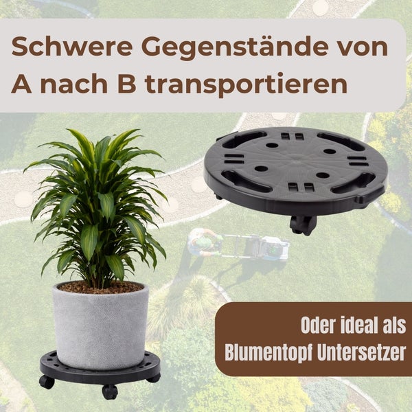 Pflanze im Topf auf Pflanzenroller, geeignet zum Transportieren schwerer Gegenstände
