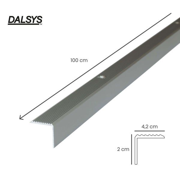 Dalsys Treppenkantenprofil mit Riffelung, Länge 100 Zentimeter, Breite 4,2 Zentimeter, Höhe 2 Zentimeter, Dalsys Logo.
