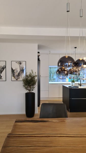 Moderner Ess- und Küchenbereich mit Massivholztisch, Olivenbaum im schwarzen Pflanzgefäß, abstrakter Wandkunst und Kugelpendelleuchten.