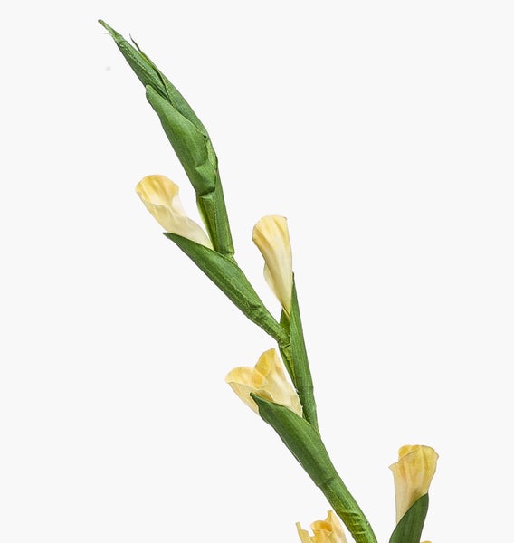 Künstlicher Gladiolenstiel mit gelben Knospen und grünem Stängel.