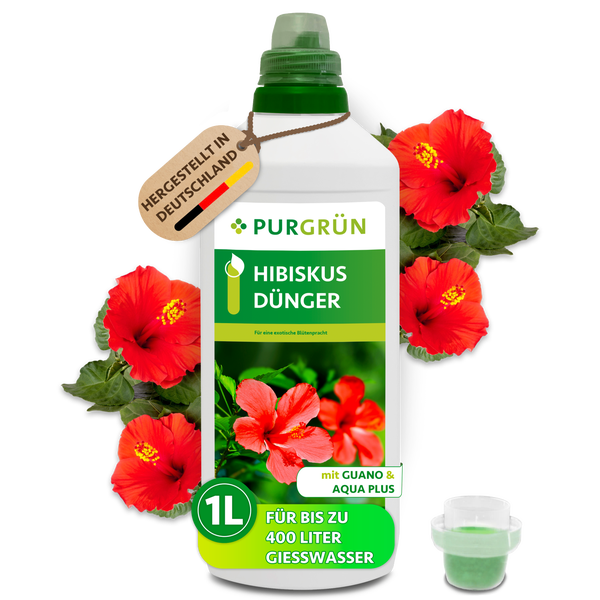 Purgrün Hibiskus Dünger mit Guano und Aqua Plus in der 1 Liter Flasche für bis zu 400 Liter Gießwasser, hergestellt in Deutschland.