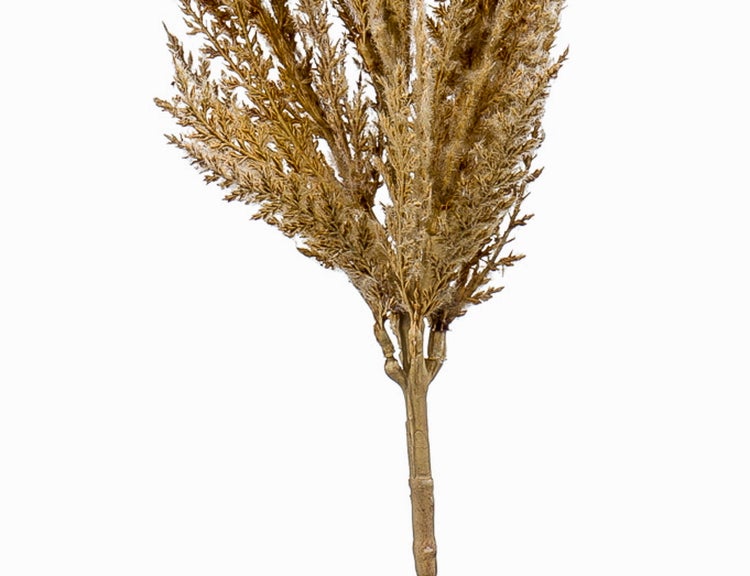 Künstlicher Pampasgraswedel als Dekozweig für Innenräume.