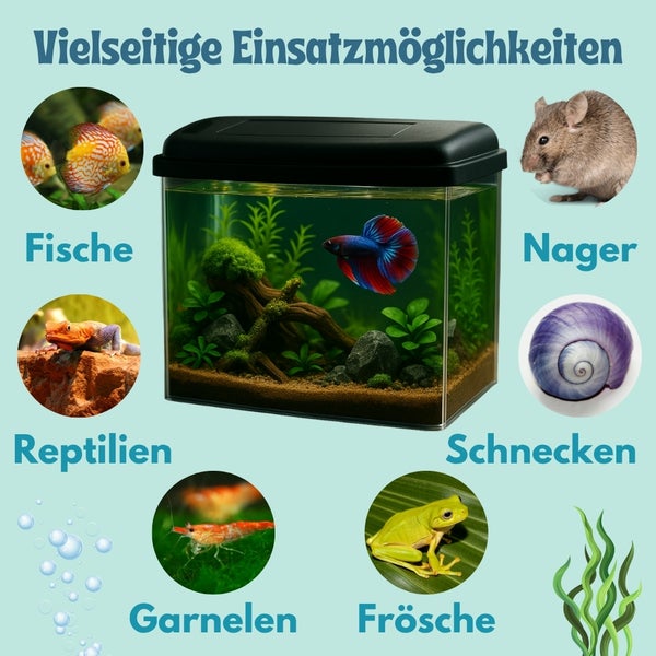 Aquarium mit verschiedenen Tieren wie Fischen, Reptilien, Nagern, Schnecken, Garnelen und Fröschen