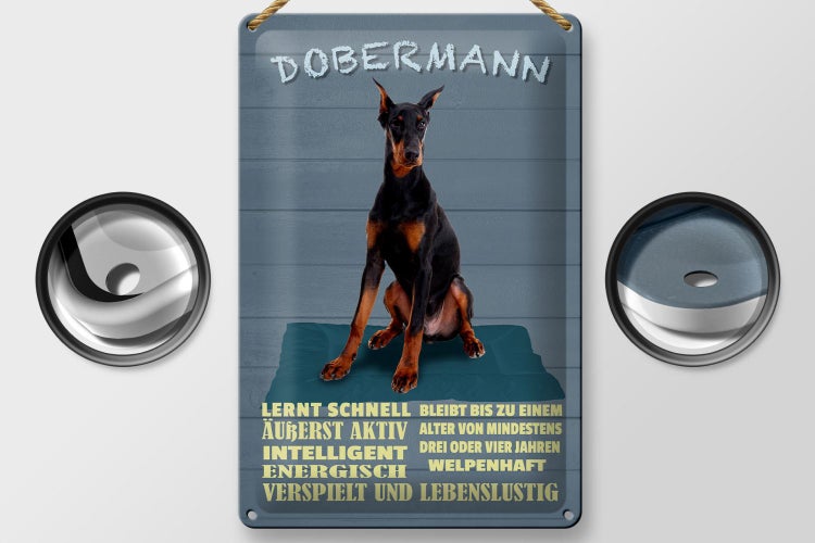 Blechschild Spruch 20x30cm Dobermann lernt schnell Hund