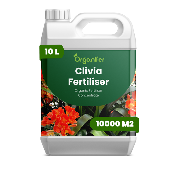 Organifer Clivia Dünger, 10 Liter Kanister, organisches Düngerkonzentrat für bis zu 10000 Quadratmeter.