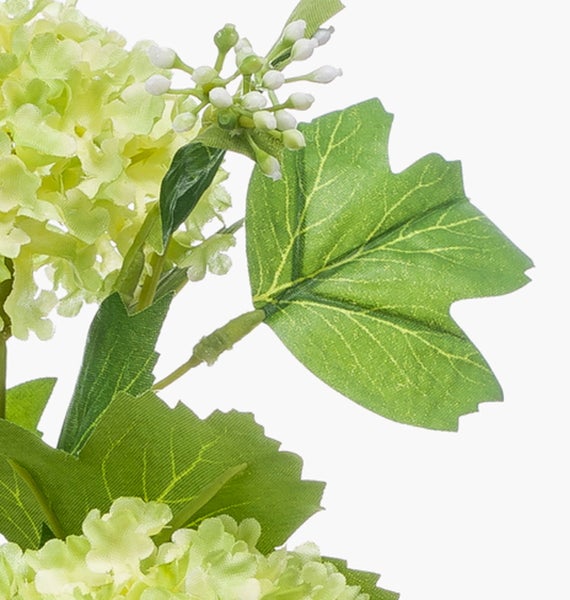 Blaue Zierlauch-Blütenknospen an grünen Stielen.