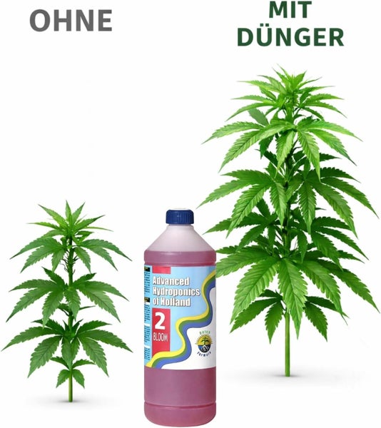 Vergleich des Pflanzenwachstums ohne Dünger und mit Advanced Hydroponics of Holland Bloom 2 Pflanzendünger.