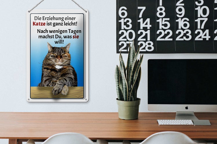 Blechschild Spruch 20x30cm die Erziehung einer Katze leicht
