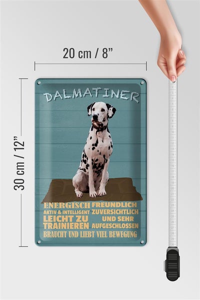 Blechschild Spruch 20x30cm Dalmatiner Hund energisch aktiv
