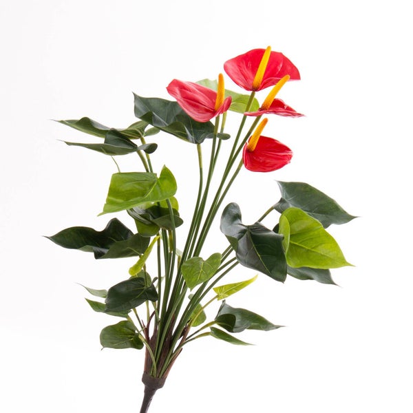 Künstliche Anthurie mit roten Blüten und grünen Blättern