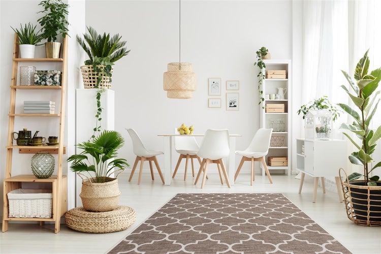 Helles, modern eingerichtetes Esszimmer mit einem Esstisch, weißen Stühlen, einem Holzregal, einer hohen Pflanze und einem gemusterten Teppich.