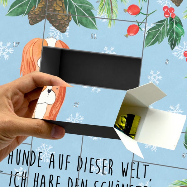 Mr. & Mrs. Panda Befüllbarer Adventskalender Hund Cavalier King Charles Spaniel - Blau Pastell