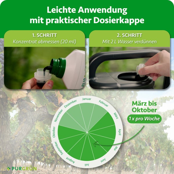 Anwendungshinweise für Purgrün Dünger mit Dosierkappe und jährlichem Anwendungsplan für den Zeitraum von März bis Oktober.