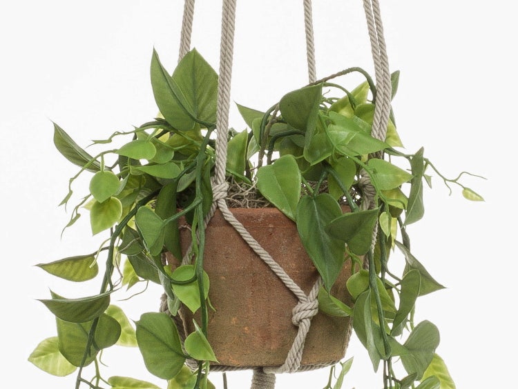 Künstliche Hängepflanze im Terrakottatopf mit beiger Seilaufhängung.