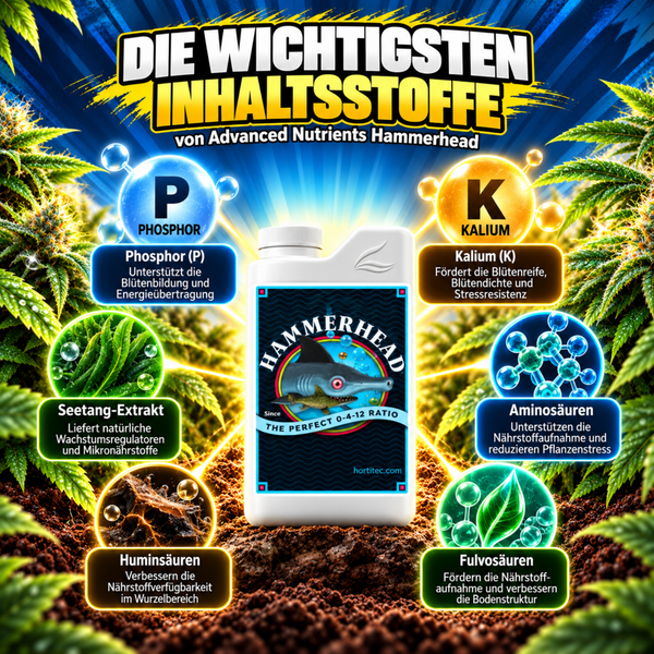 Infografik der Inhaltsstoffe von Advanced Nutrients Hammerhead Pflanzendünger mit Phosphor Kalium Seetang Extrakt Aminosäuren Huminsäuren Fulvosäuren