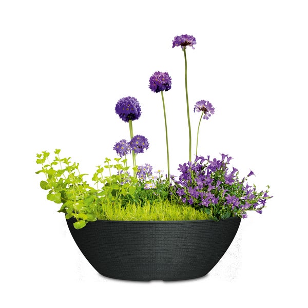 Scheurich Barceo Jardiniere 60, Pflanzschale/Blumentopf/Pflanzenschale, oval,  aus Kunststoff Farbe: Stony Black, 58,5 cm Breite, 23,7 cm Tiefe, 19,5 cm hoch, 14,5 l Vol.