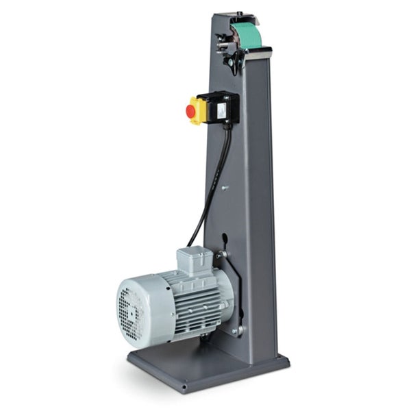 Schefflera Zimmerpflanze Strahlenaralie im Pflanztopf mit grünen Blättern.