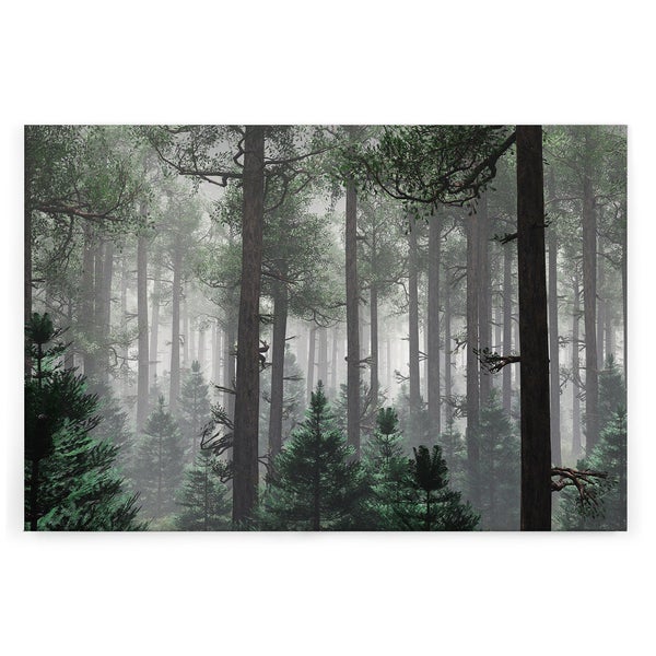 Wandbild mit einem dichten, nebligen Nadelwald und hohen Baumstämmen im Design für eine atmosphärische Raumgestaltung.