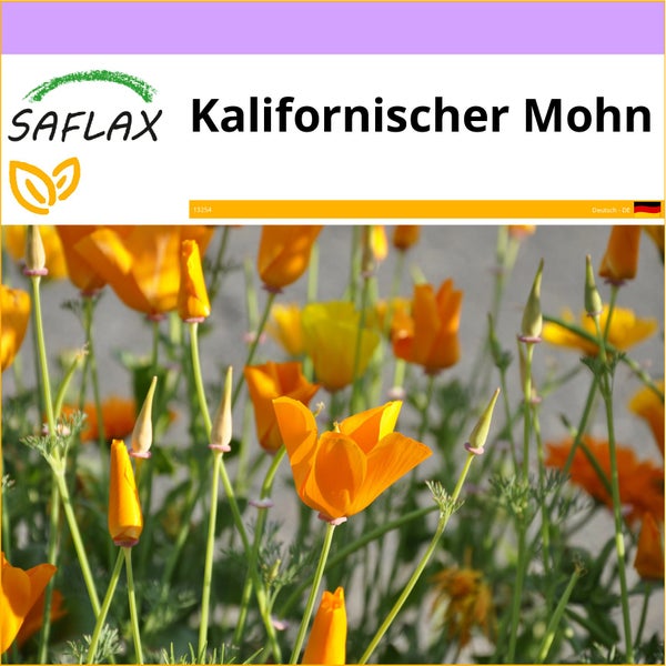 SAFLAX  - Kalifornischer Mohn - Eschscholzia californica - 1500 Samen